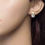 Gorgeous Gold Plated AAA Zircon Stoned Dolphin Jewelry Set Including Necklace and Earrings 