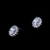 Crystal Zircon Dolphin Earrings For Women 