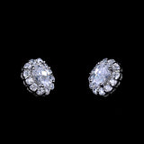 Crystal Zircon Dolphin Earrings For Women 